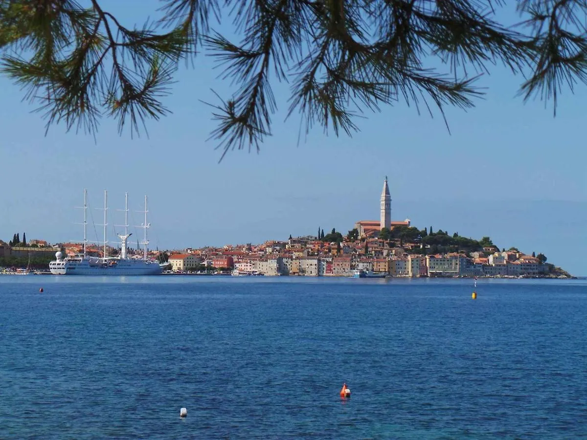 Apartment In Rovinj/Istrien 11735 كرواتيا